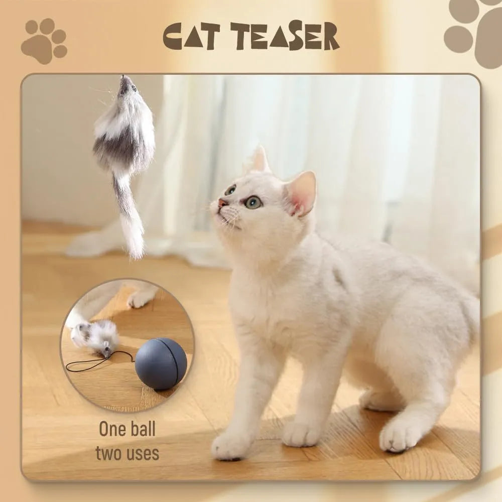 Automatic interactive cat ball toy in blue orange colour, self-rolling motion for indoor pets