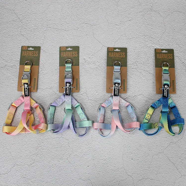 Pink and blue gradient nylon dog leash set with collar and chest strap harness on a white background.