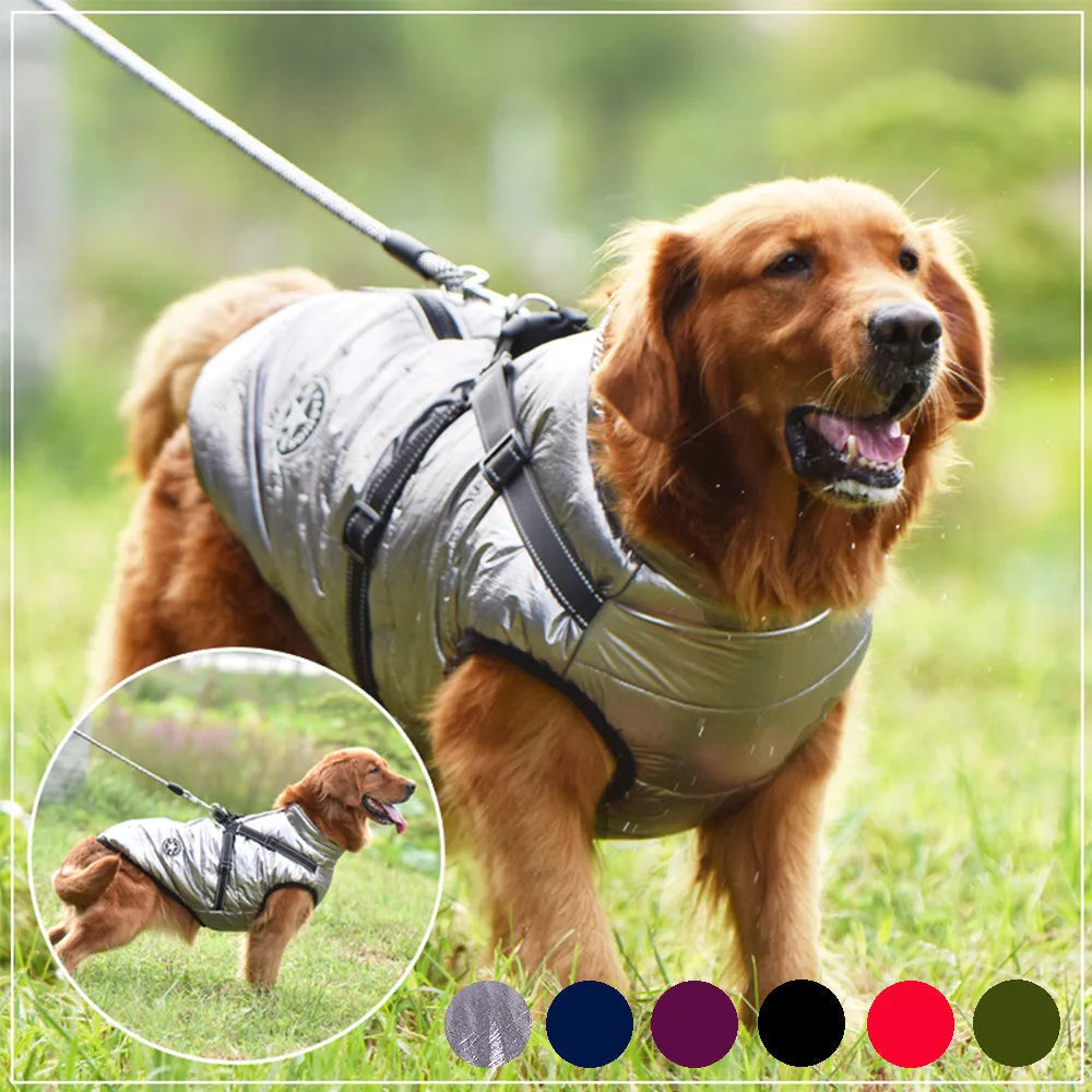 Red waterproof dog coat with harness access opening for winter weather protection