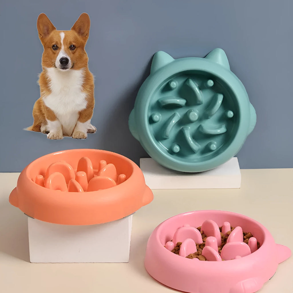 Bone pattern slow feeder dog bowl in PP plastic for anti-gulping pet feeding