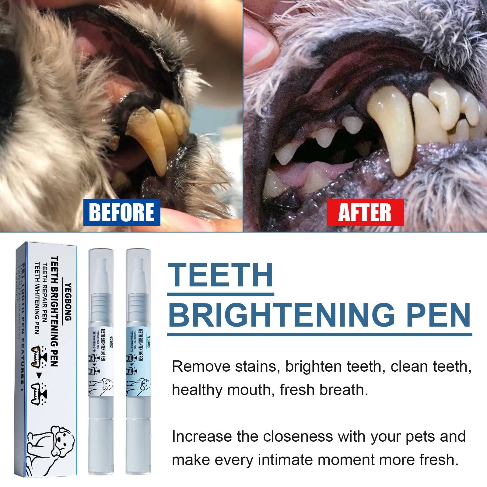 Pet teeth whitening pen kit with two 3ml pens and two dental brushes for dog and cat tartar care.