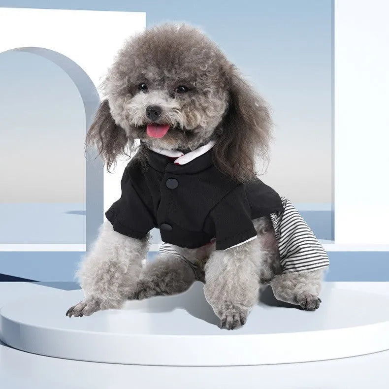 Lightweight cotton poodle clothes available in four sizes with pants or skirt options