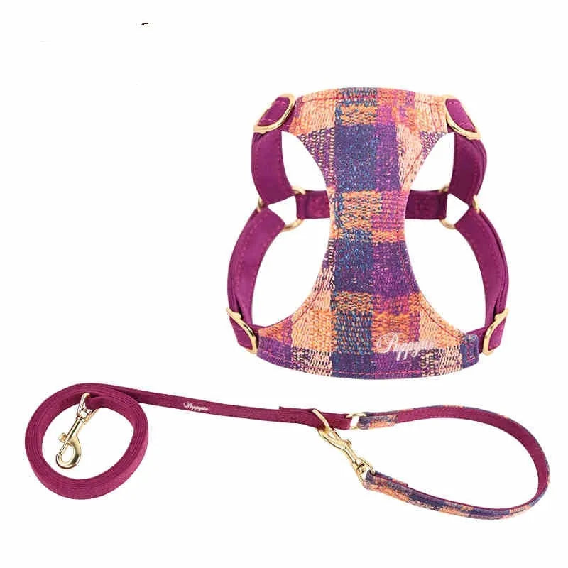 Dog hand holding rope vest walking harness in Dark Night Blue with traction rope on a small dog