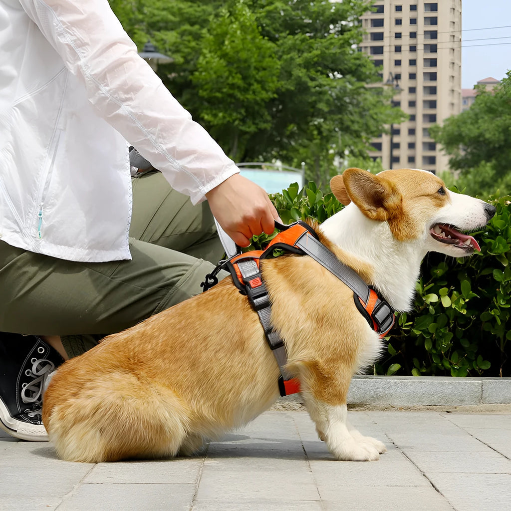 Polyester dog hand holding rope vest chest strap in orange with back panel and handle