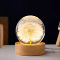 3D dandelion crystal ball LED desk lamp on beech wood base