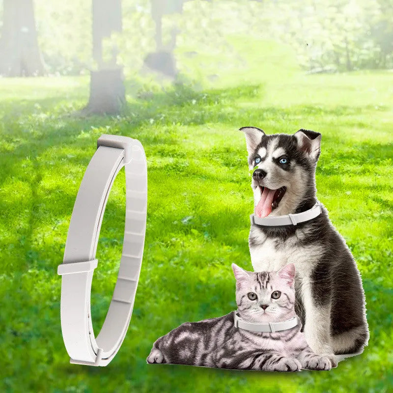 Pet anti-mosquito collar for cat or dog, adjustable waterproof insect repellent in TPR silicone, 65cm dog and 38cm cat sizes