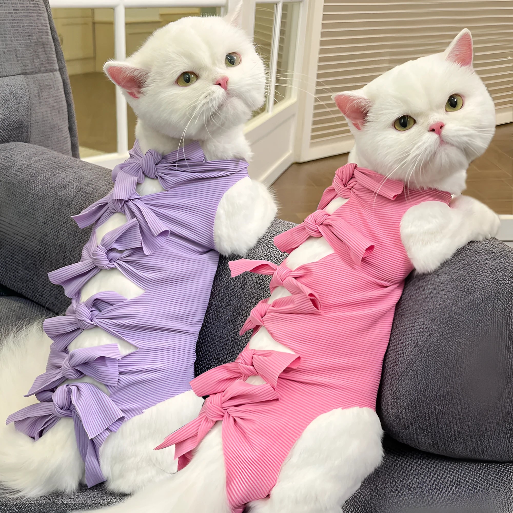 Lace-up polyester cat recovery suit for post-sterilisation surgery in blue colour, size large.