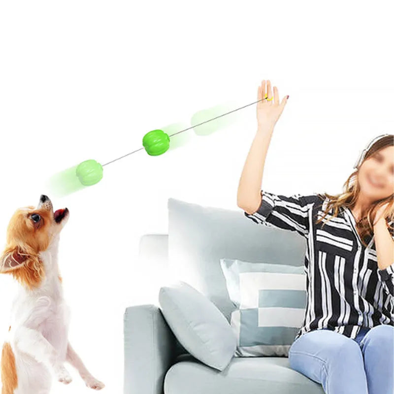 Small orange pumpkin-shaped dog chew toy with squeaker for puppy teething and training