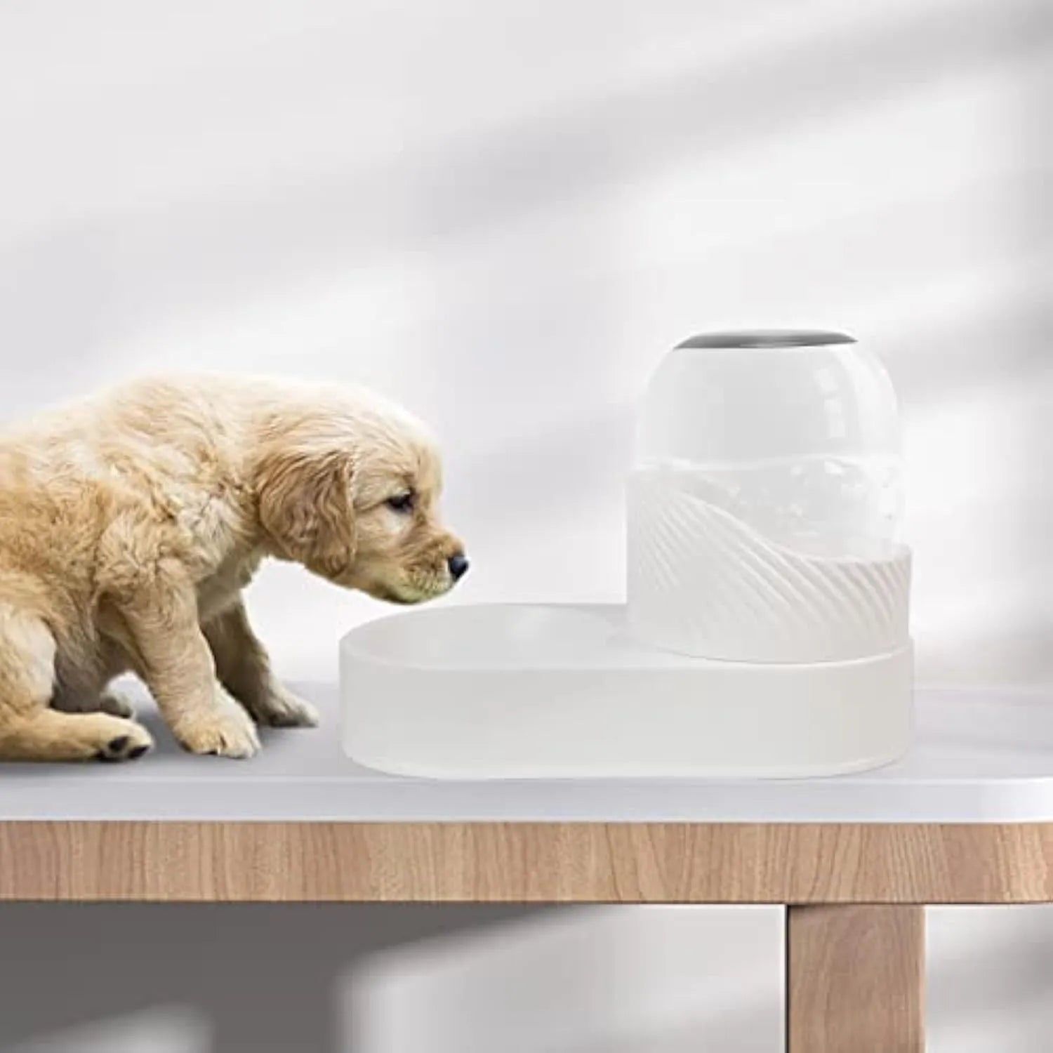 White automatic cat feeder and water dispenser set with wave-patterned shell.