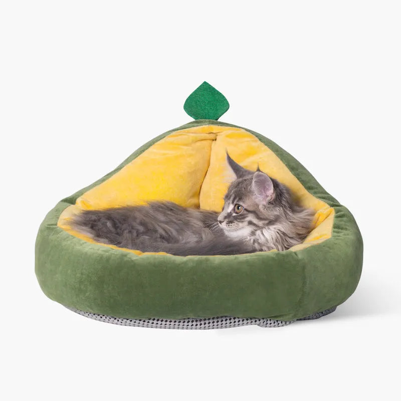 Cotton Pit Avocado detachable pet nest for cats and super small dogs in green colour