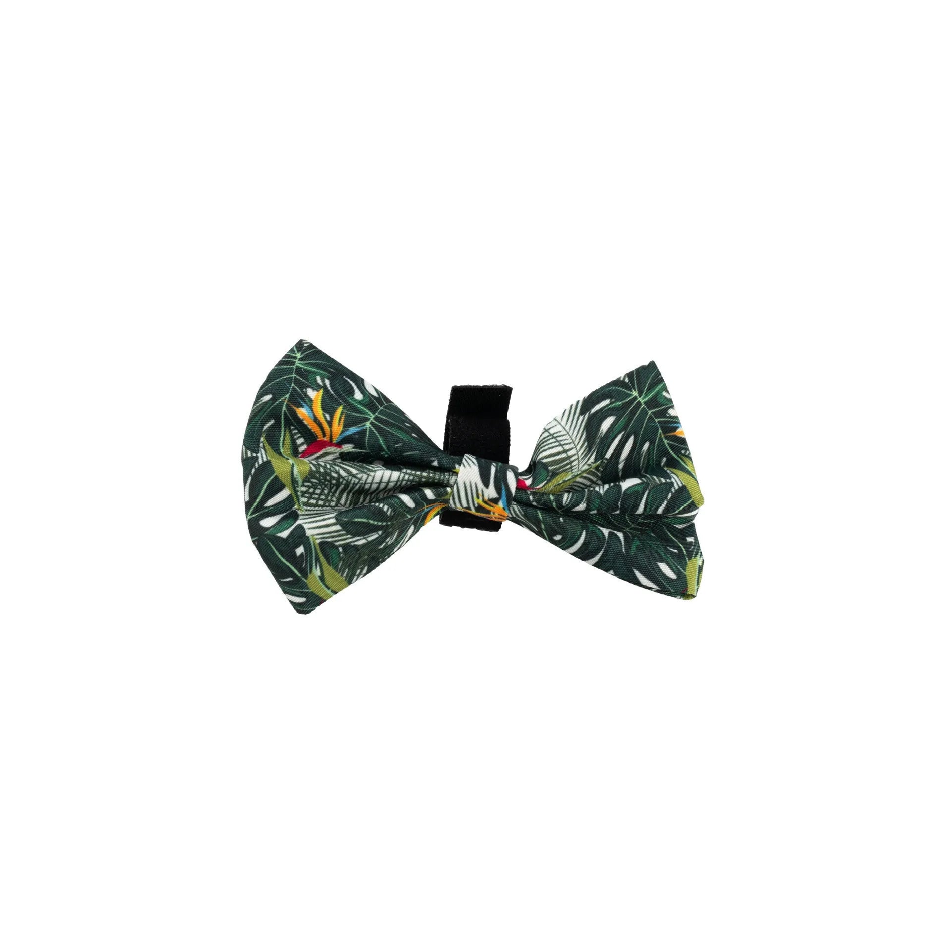 Adjustable cloth dog harness set with six accessories including vest, collar, leash, waste bag holder, bow tie, and scarf