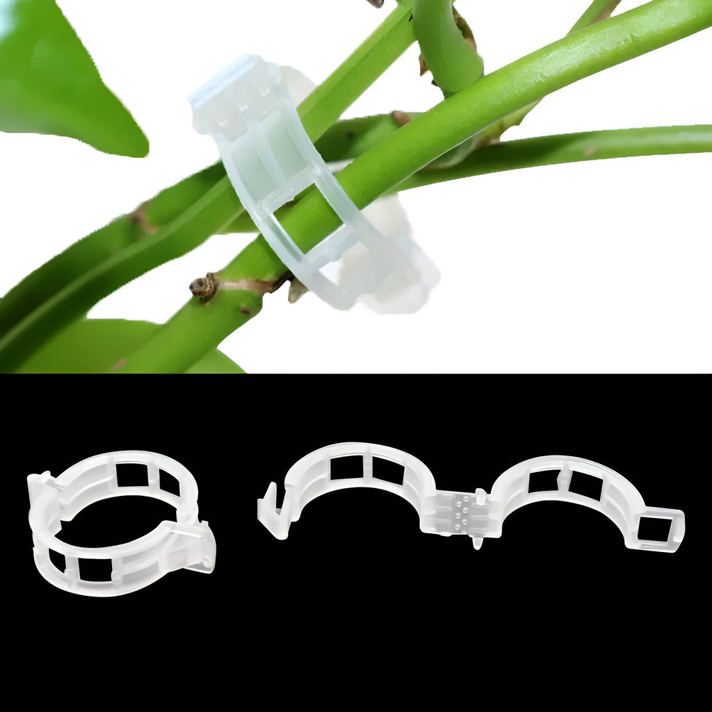 A pack of 50 plastic plant grafting clips in assorted colours for supporting tomato plants and garden vines.