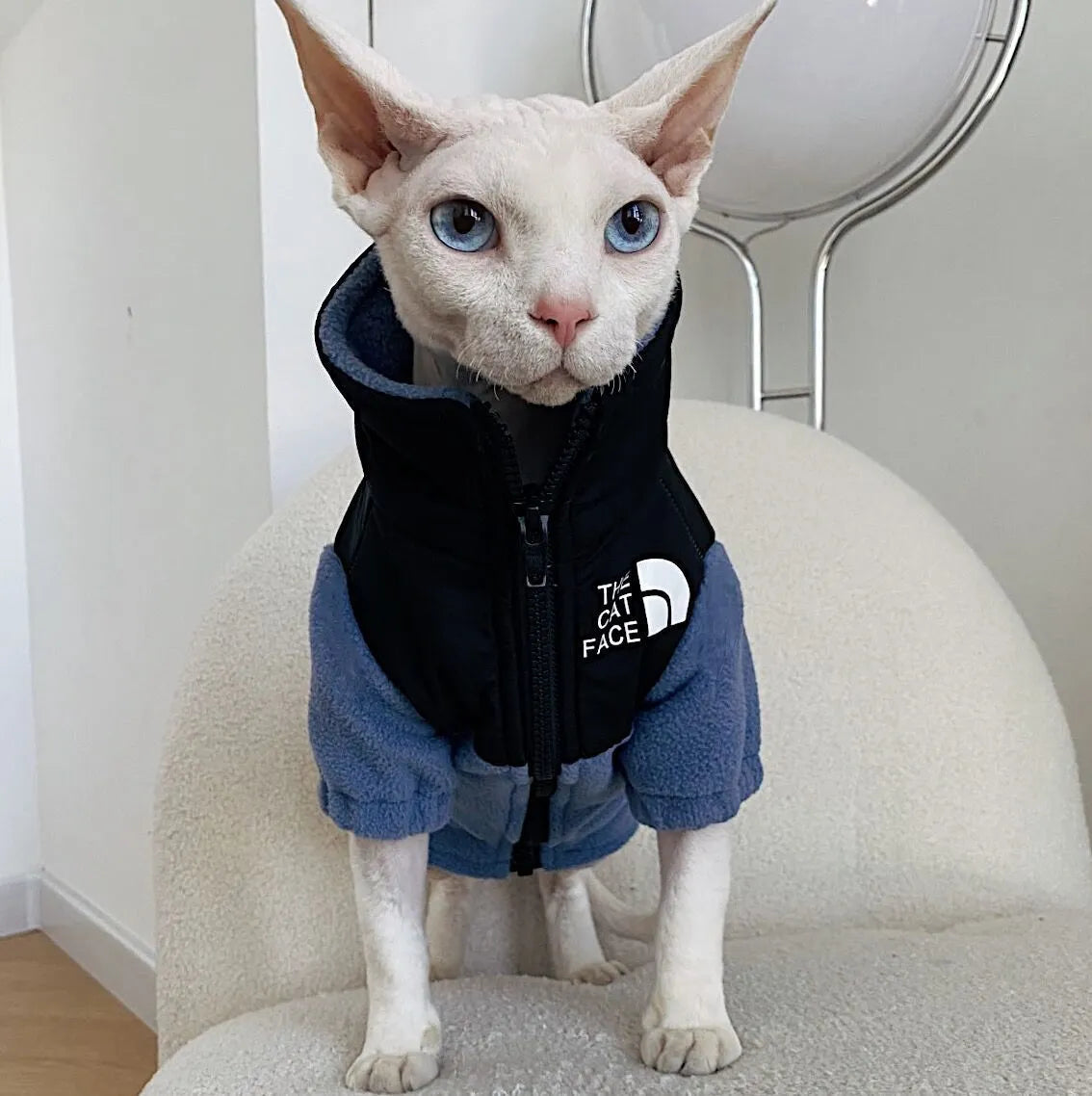 Hairless cat wearing a coral fleece jumpsuit in army green, side view on neutral background