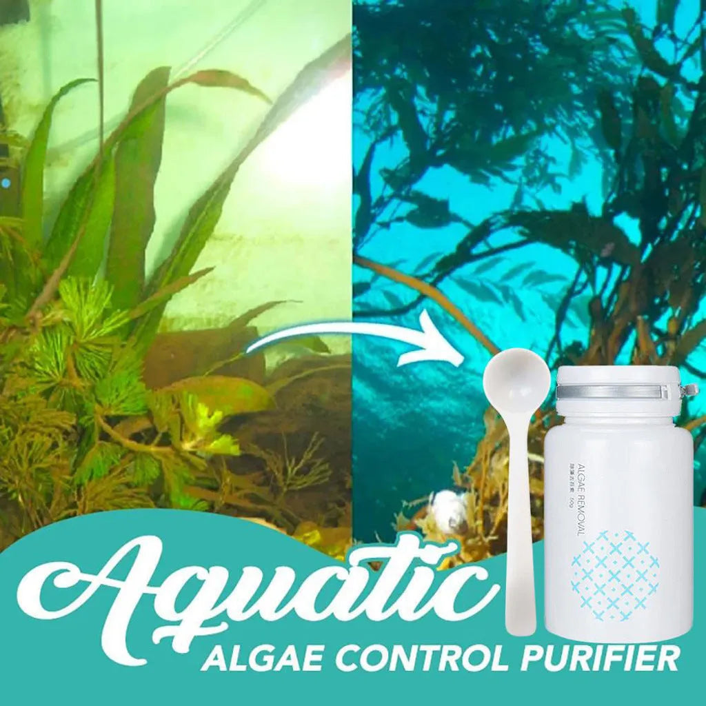 50g pool algaecide for swimming pool algae and moss removal treatment