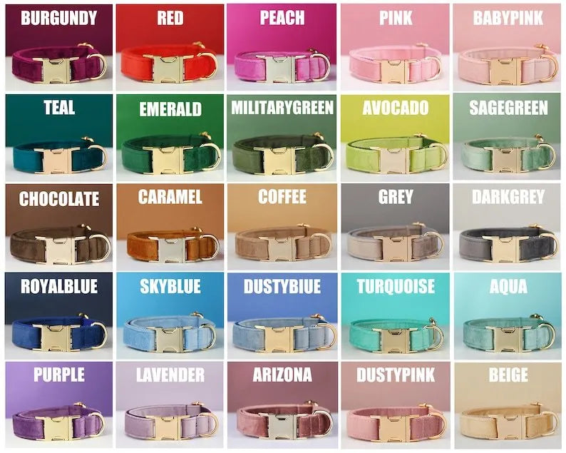 Velvet dog collar with matching leash and bow tie in multiple colours adjustable sizes XS to XL