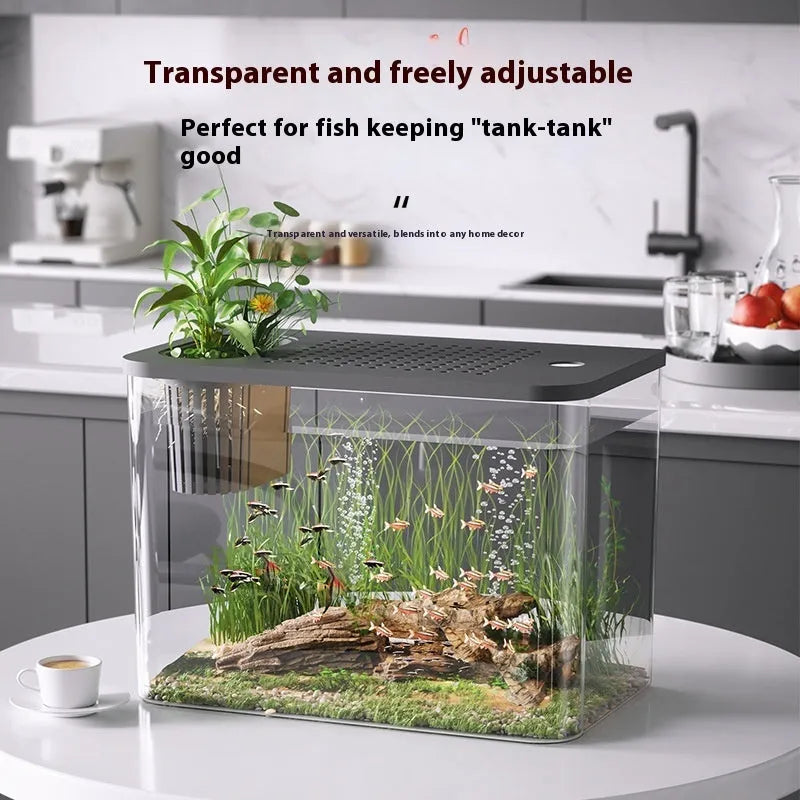 Plastic betta fish tank with transparent lid in black or white colours, dimensions 32cm long by 18.5cm wide by 23cm high