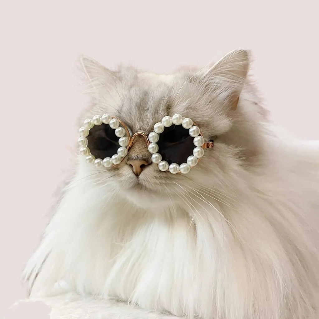 Cat and dog pearl-rimmed round sunglasses in multiple colours for pet party dress-up