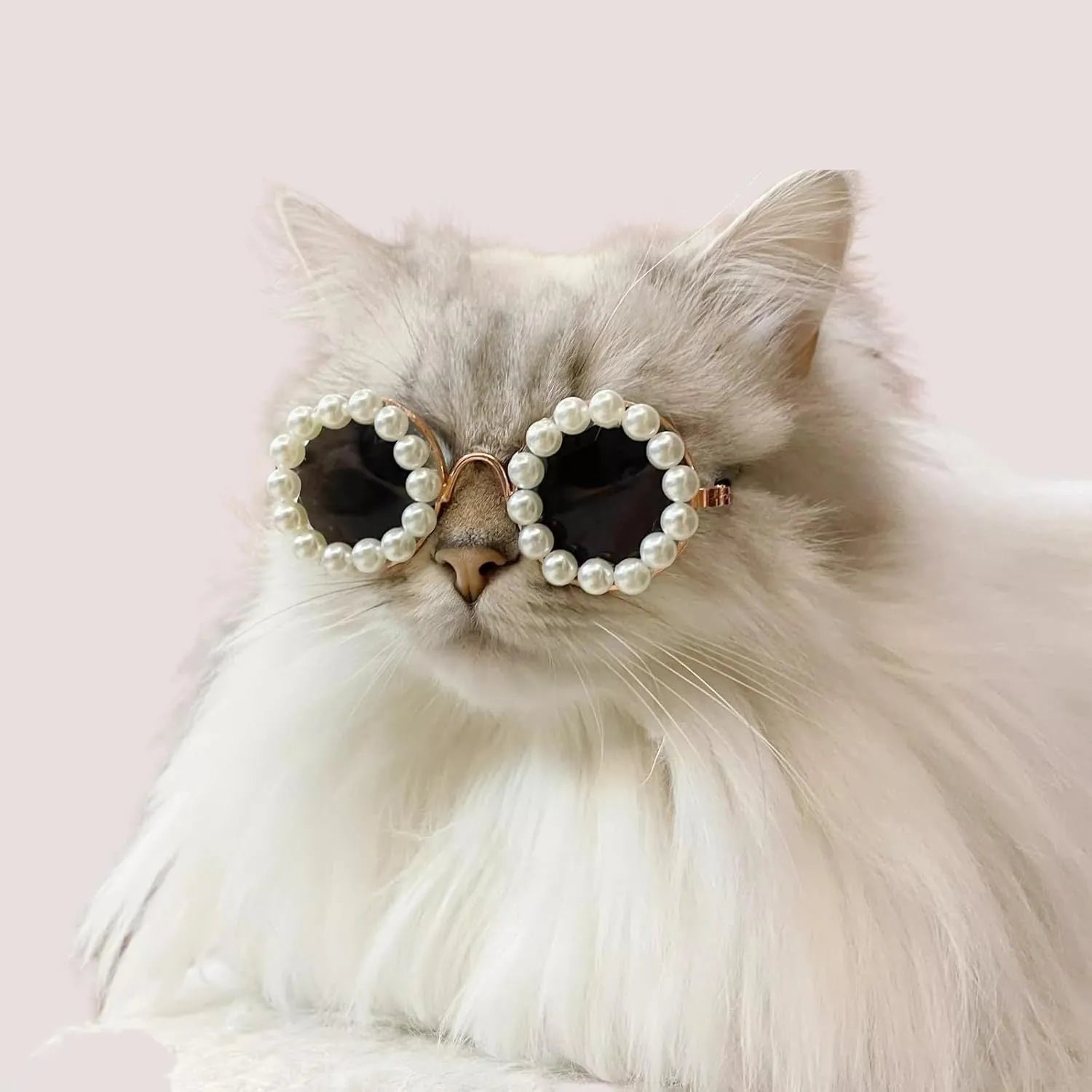 Cat and dog pearl-rimmed round sunglasses in multiple colours for pet party dress-up