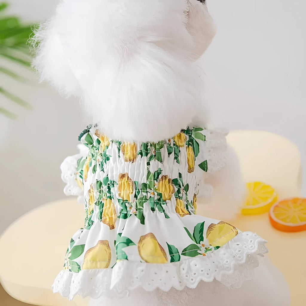 Thin breathable polyester strap dog skirt in Rock Yellow Lemon
