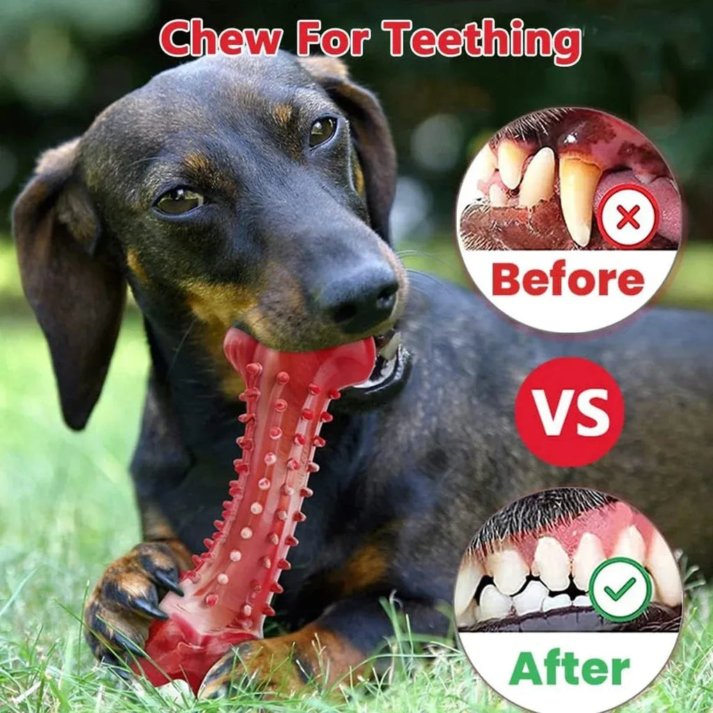 Natural rubber chew toy in red for aggressive dogs - durable construction for heavy chewing
