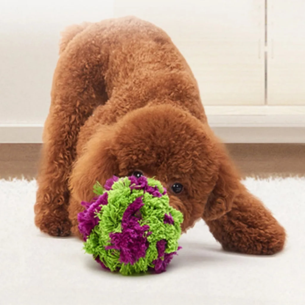 Purple plush dog knots seaweed ball toy with approximately 15cm diameter for chewing and fetch games
