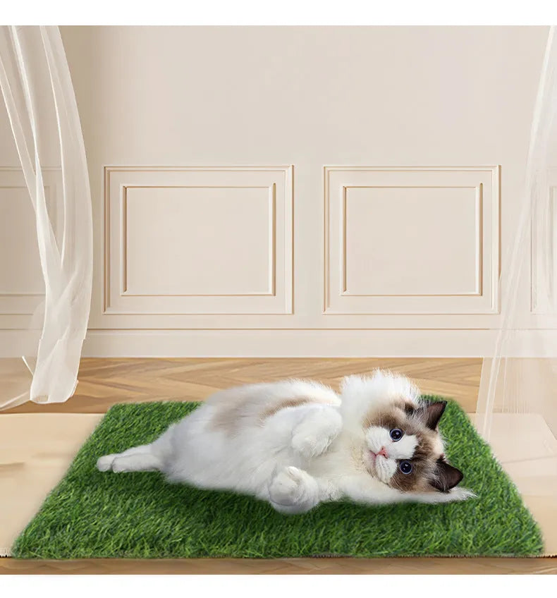 Washable pet lawn mat in 50x60 cm size for indoor dog toilet training on a tiled floor