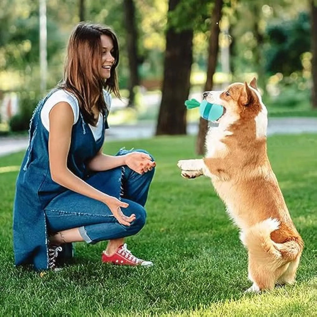 Blue rubber dog toy ball with treat-dispensing holes for medium to large breeds