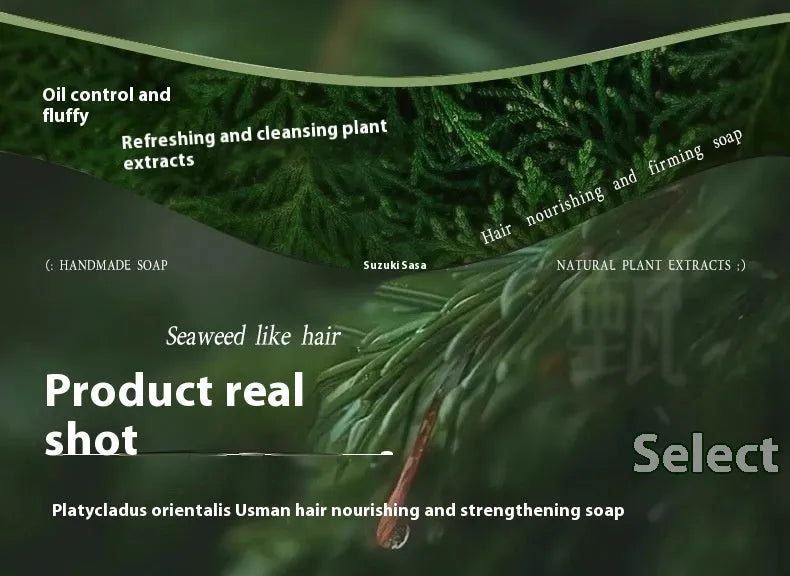 Chinese arborvitae twig shampoo soap handmade bar 120g for oil control hair care