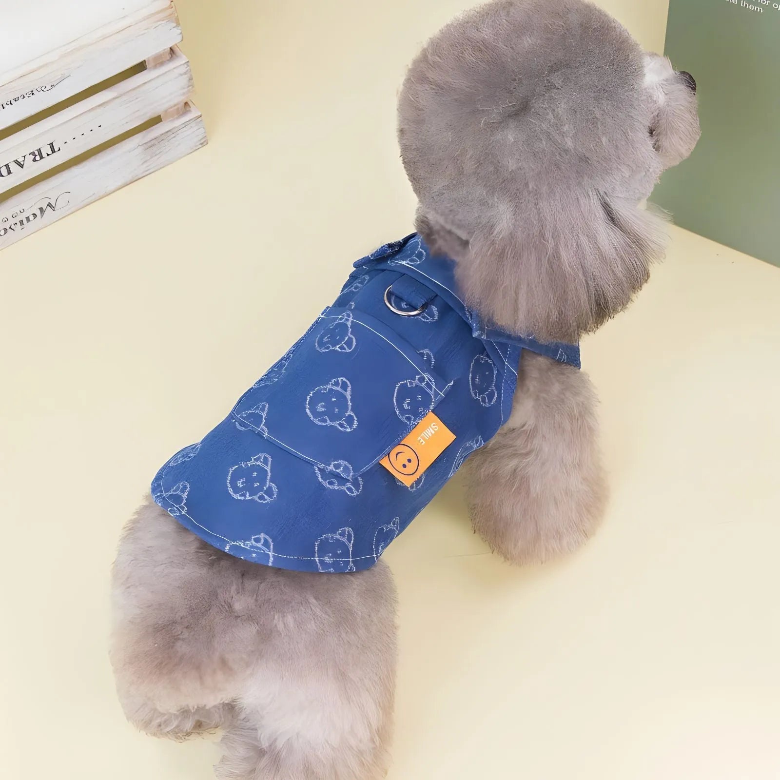 Small dog wearing denim princess dress with bracket skirt design