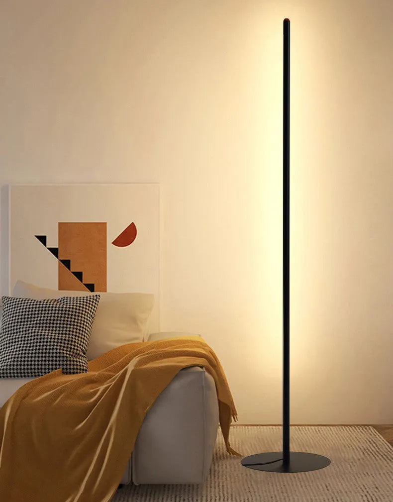 Vertical aluminium alloy floor lamp with a simple modern design and USB plug.
