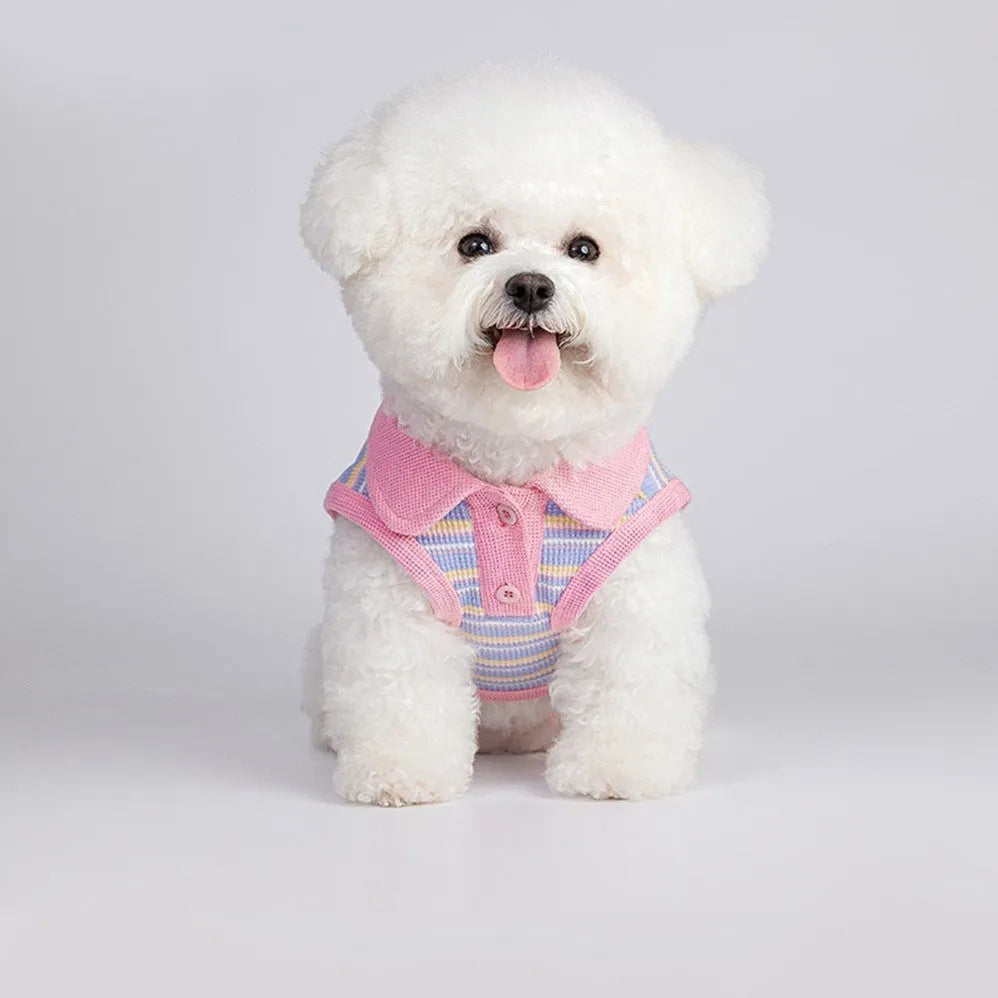 Pink purple autumn vest for small dog or cat with adjustable buckle closure shown in size L