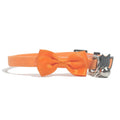Multi-colour striped nylon bow collar with bell for cats on adjustable ribbon