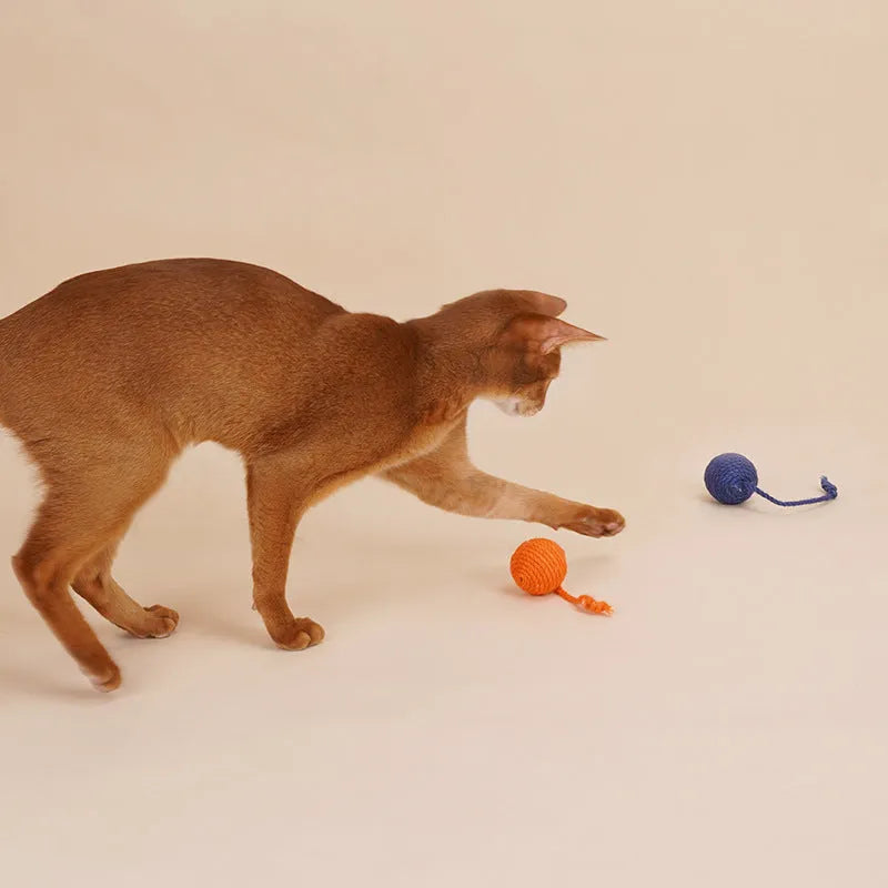 Cat toy set with teaser stick and catnip balls in blue, green, and red yellow blue colours