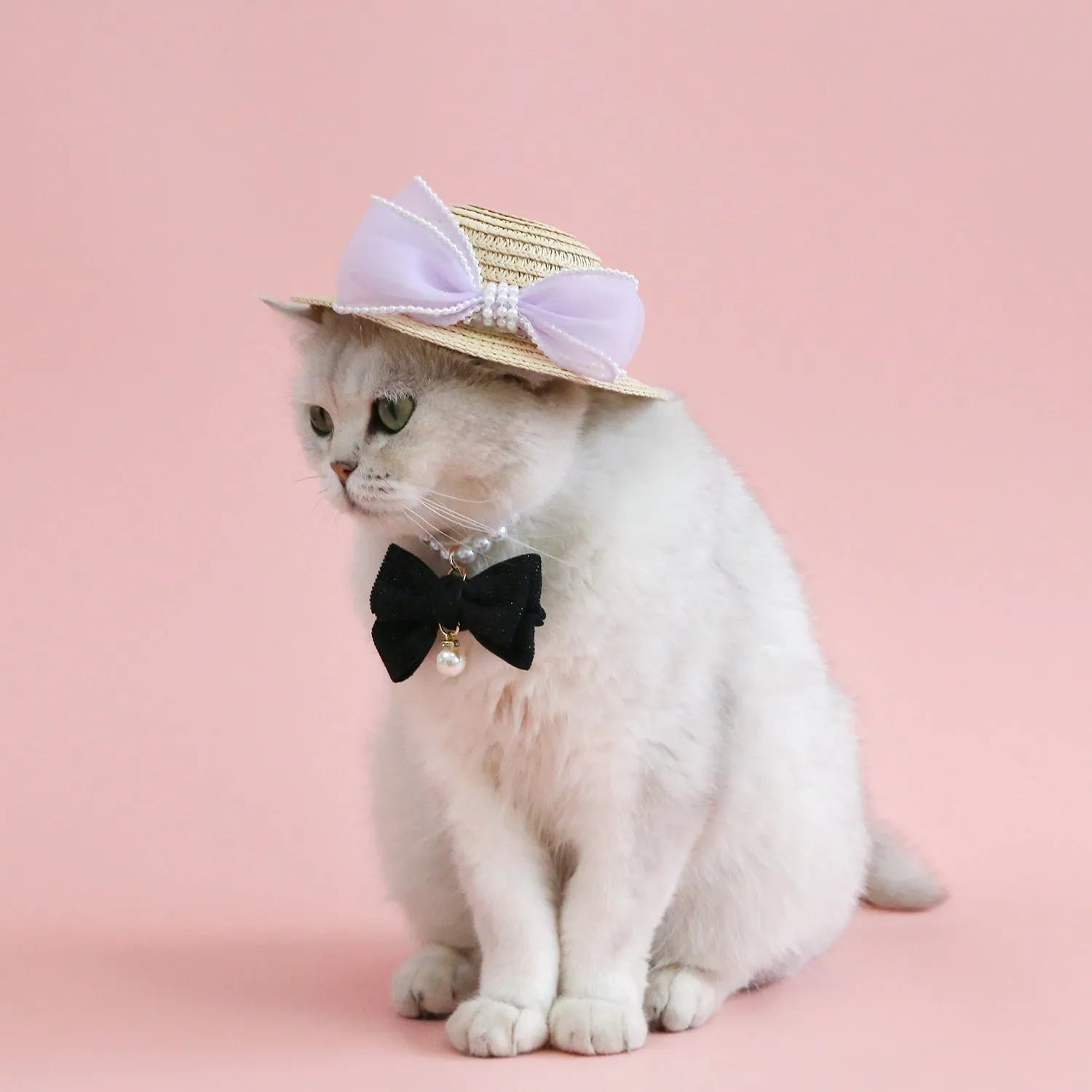 Pet cat wearing woven straw hat with pearl bow decoration in seasonal colour option