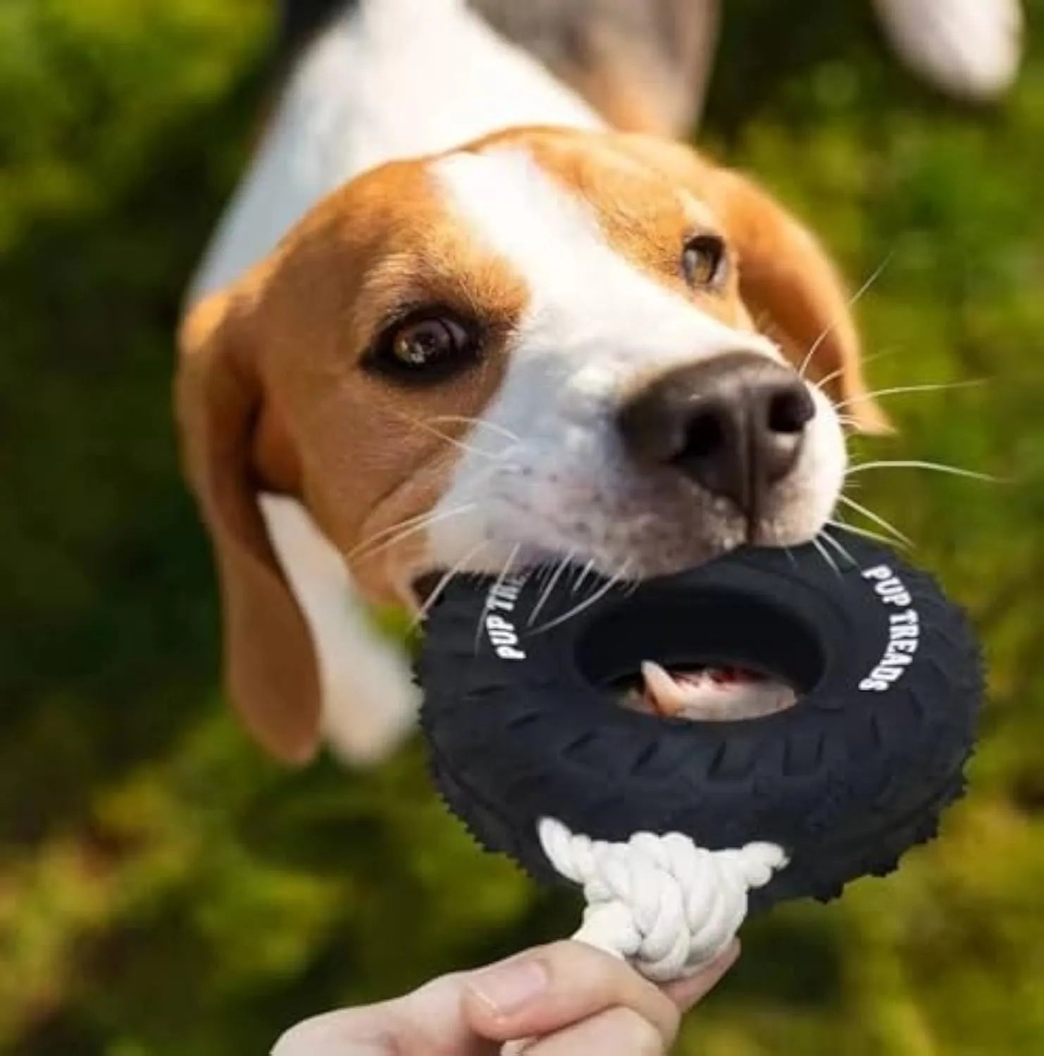 Black natural rubber dog chew toy shaped like a tire with rope, 35x16cm, for large aggressive chewers