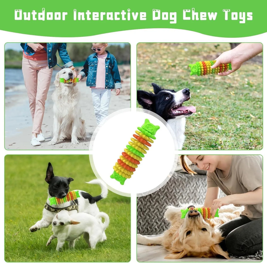 Blue caterpillar-shaped natural rubber dog chew toy for aggressive chewers.