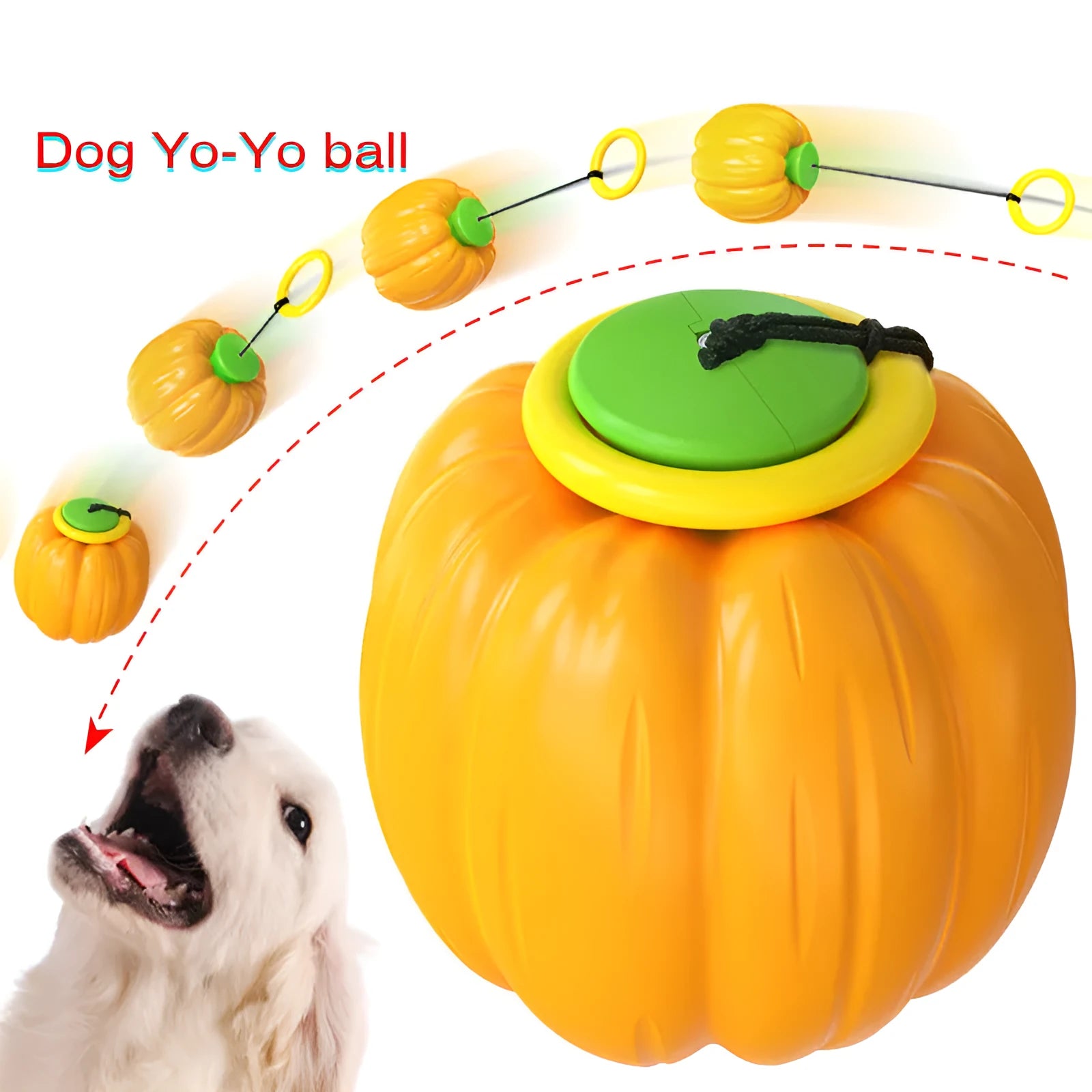 Small orange pumpkin-shaped dog chew toy with squeaker for puppy teething and training