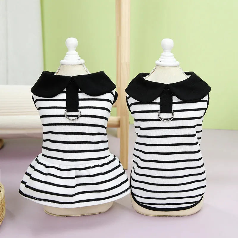 Pet wearing striped skirt and matching T-shirt summer outfit set