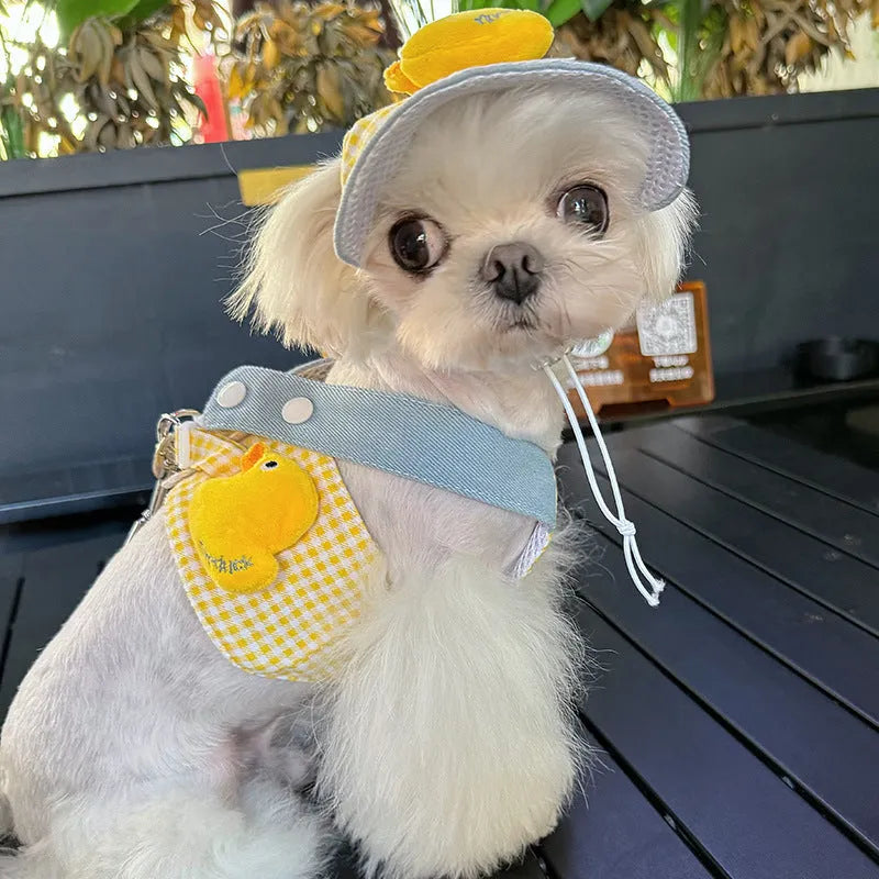 Three-piece pet set with a dog harness and leash, a wire rope pulling toy, and a cute hat on a cat or small dog.