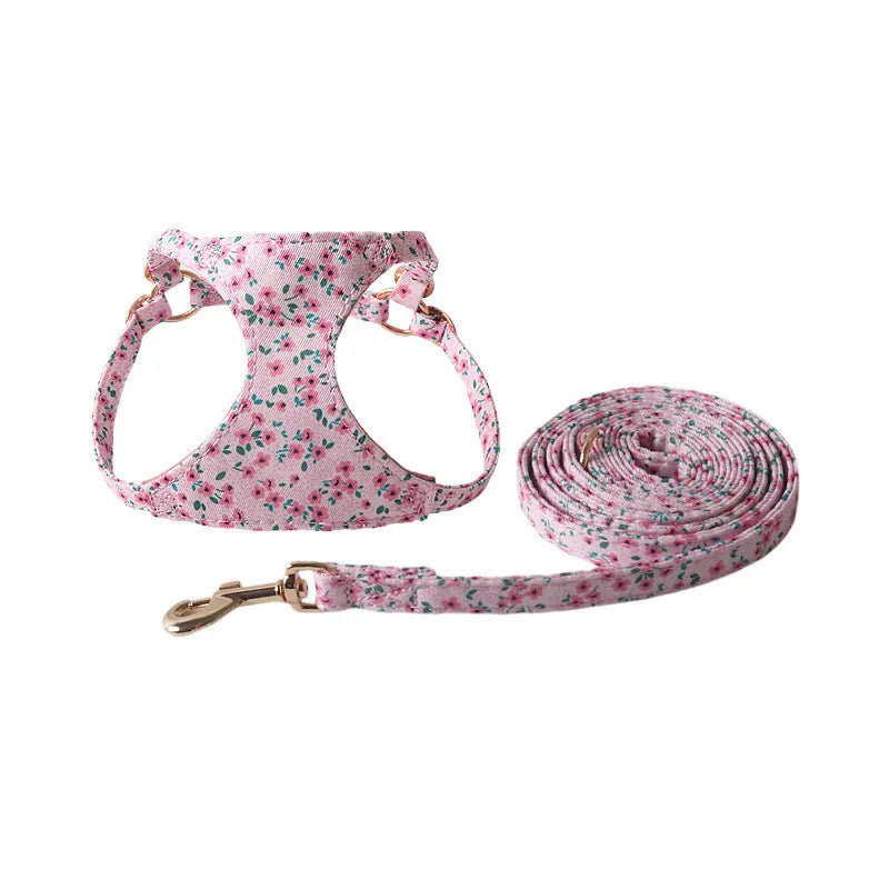Cloth pet harness suit with leash in orange for small dogs and cats on white background