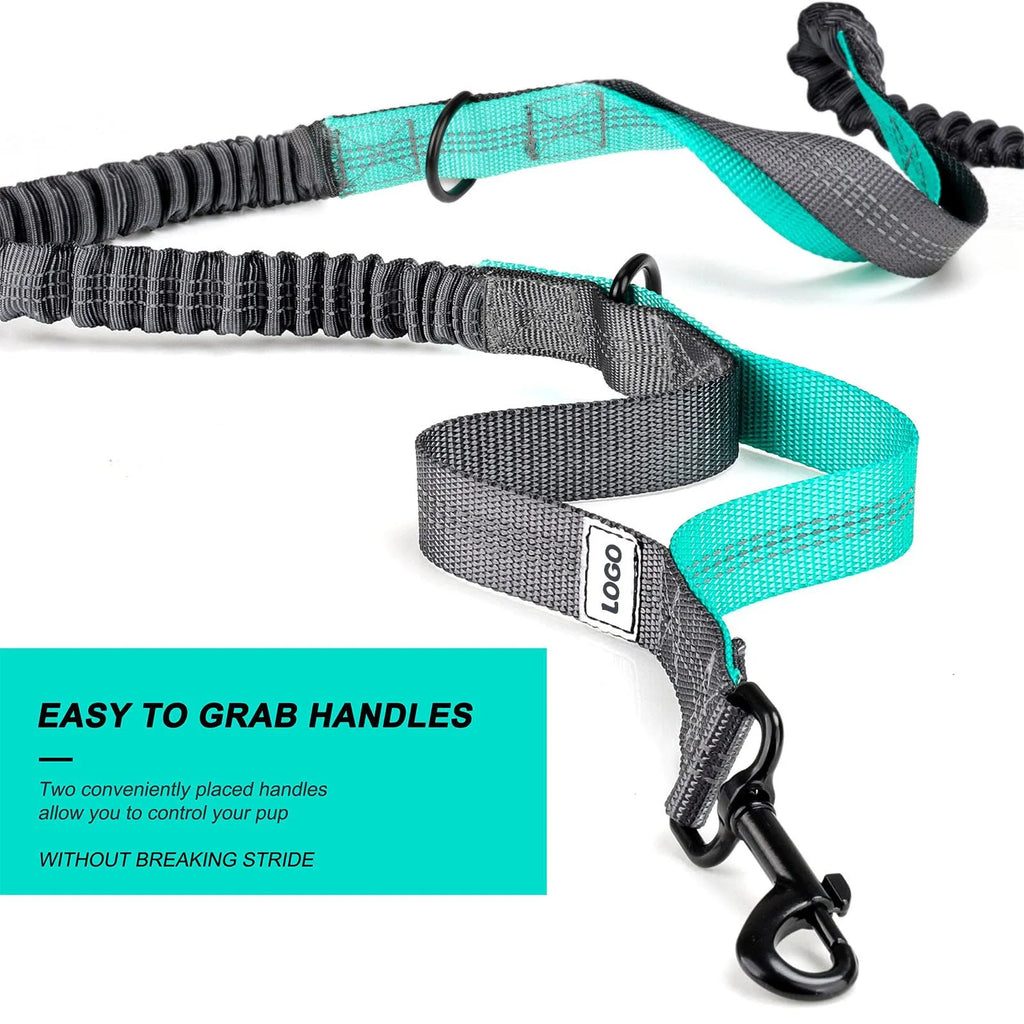 Black nylon outdoor pet training bag set with waist bag and dog walking leash