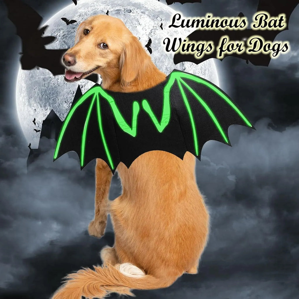 Small dog wearing a black bat costume with luminous skeleton bone wings against a Halloween background