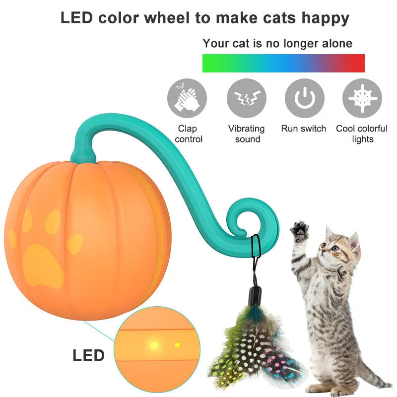 Electric cat toy luminous ball in pumpkin colour on floor
