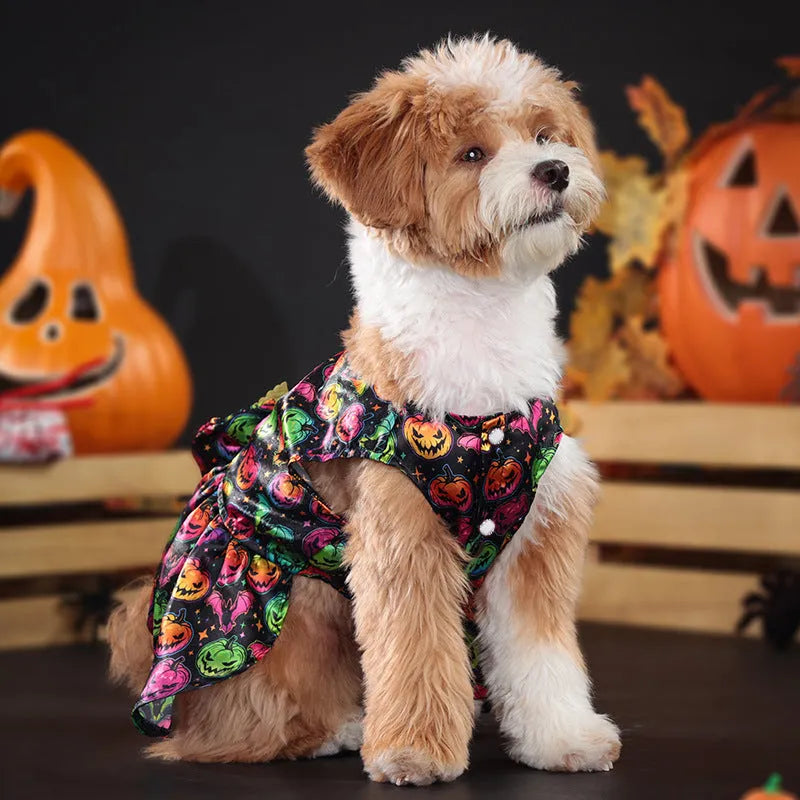 Angel wings Halloween dog costume in bright pumpkin colour with size options
