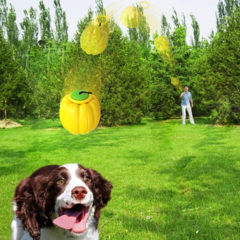 Small orange pumpkin-shaped dog chew toy with squeaker for puppy teething and training