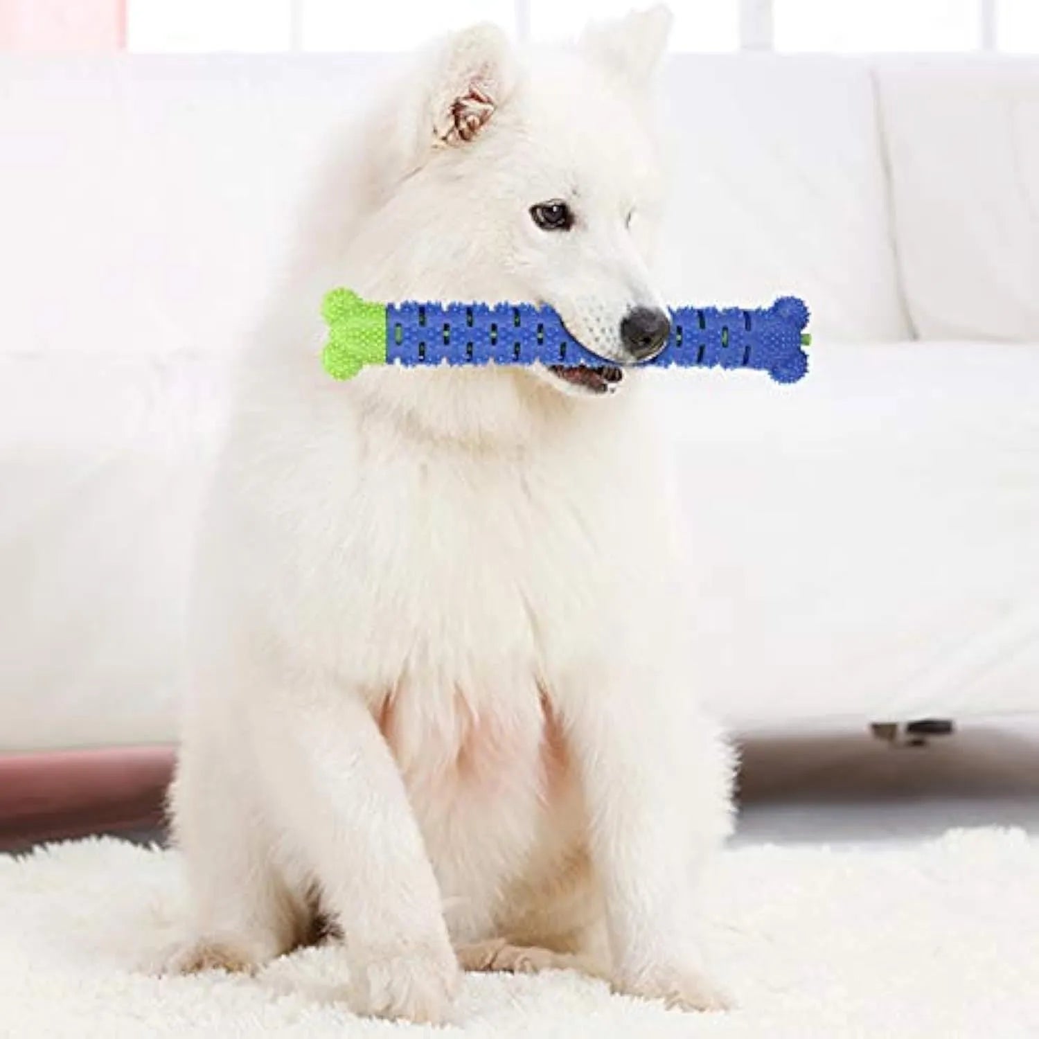 Blue green dog dental cleaning toy with silicone bristles and rope core measuring 25 cm