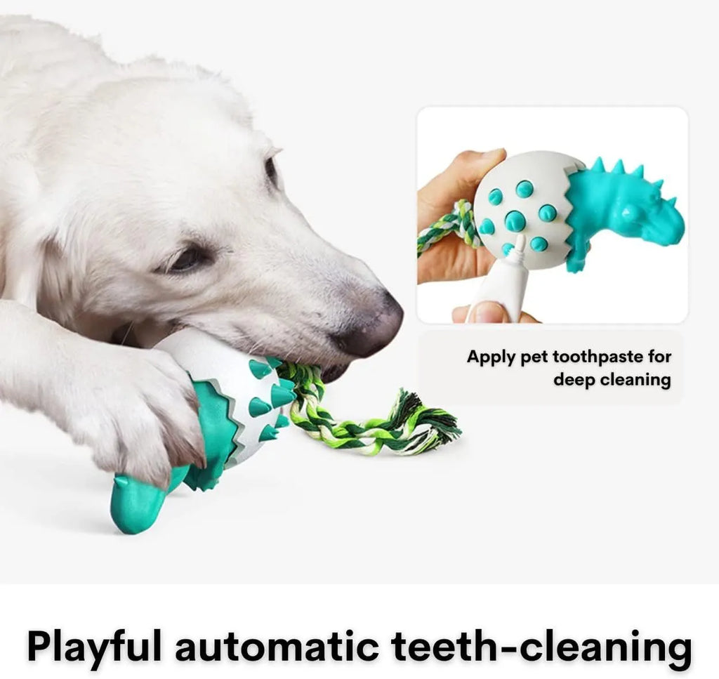 Blue dinosaur-shaped dog chew toy with rubber nubs and a rope tail for aggressive chewers.