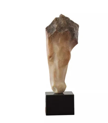 French retro abstract horse head desktop sculpture ornament with carved surface, 50cm tall.