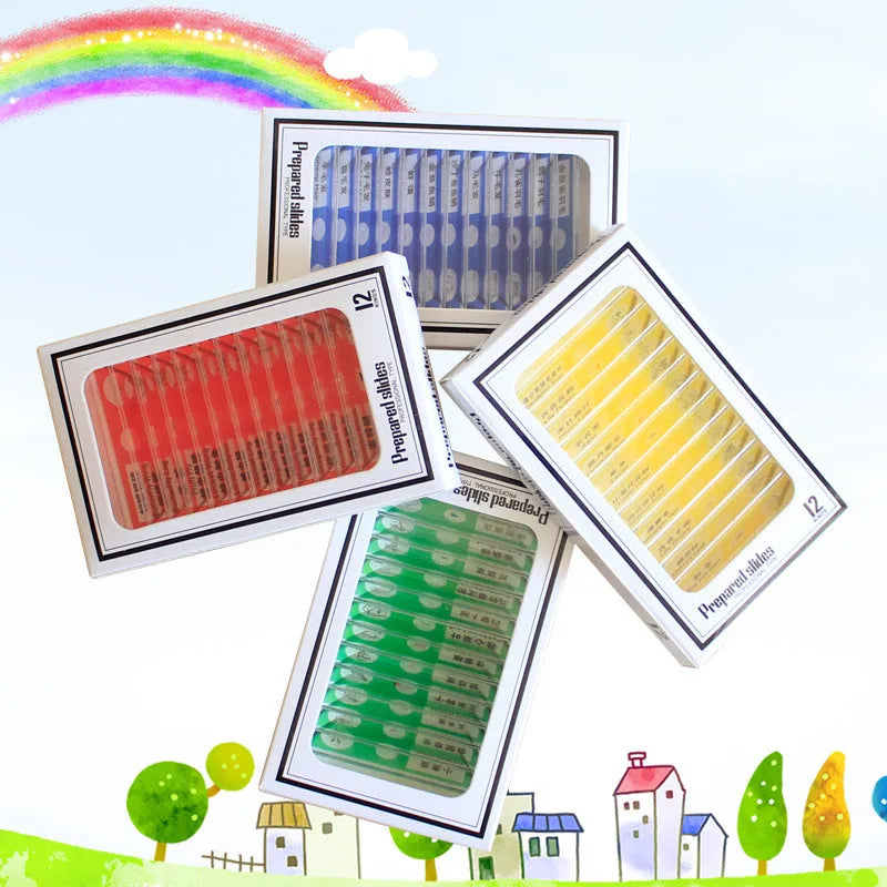 48 plastic microscope slides in four colour-coded boxes showing plant rhizomes, roots, and animal specimens