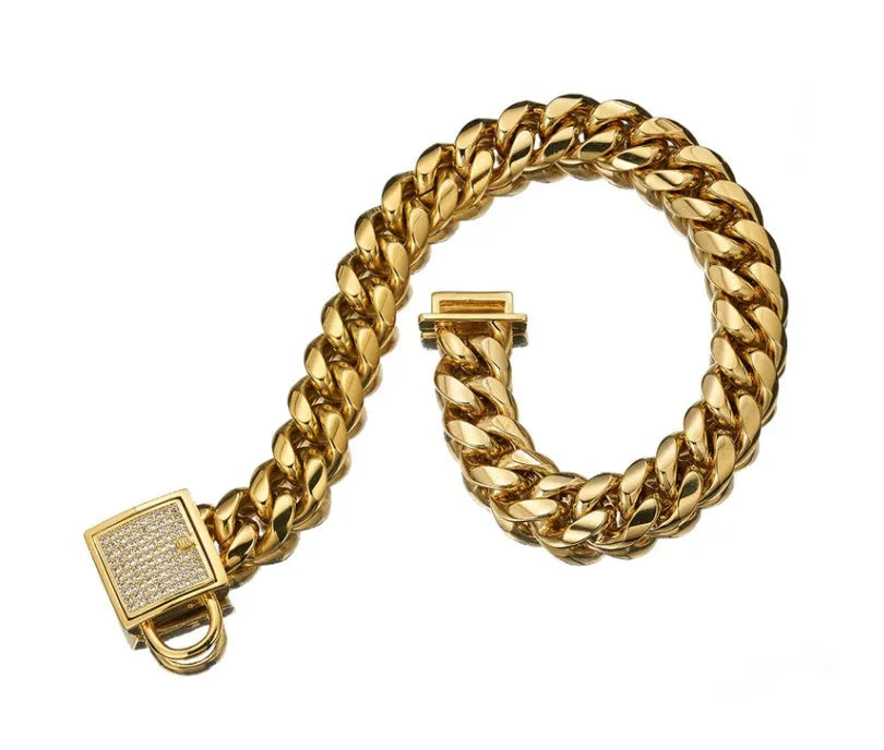 Gold titanium steel pet dog collar with encryption chain buckle lying on surface